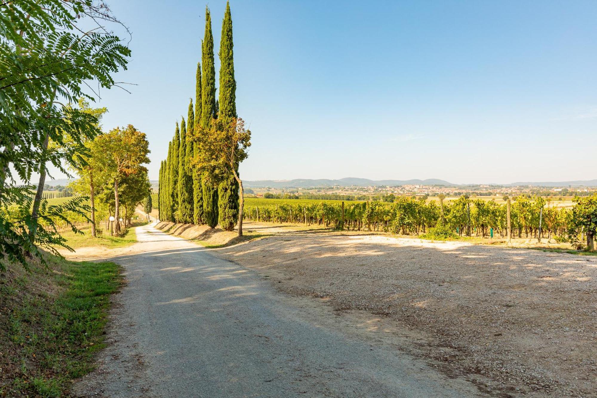 הוילה Montepulciano Stazione Vermentino מראה חיצוני תמונה